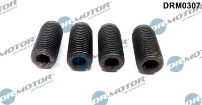 Adjustment Screw, injector pump Dr.Motor Automotive DRM0307