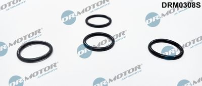 Seal Ring, nozzle holder Dr.Motor Automotive DRM0308S