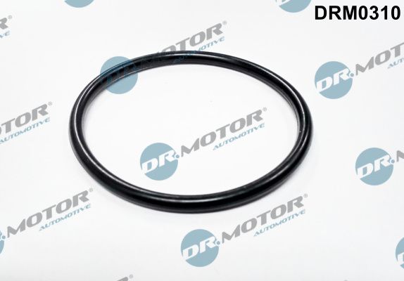 Dr.Motor Automotive DRM0310 Gasket, throttle body