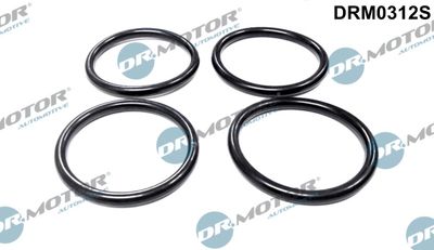 Gasket Set, intake manifold Dr.Motor Automotive DRM0312S
