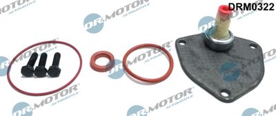 Repair Set, vacuum pump (braking system) Dr.Motor Automotive DRM0322