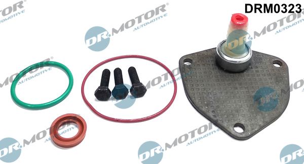 Dr.Motor Automotive DRM0323 Repair Set, vacuum pump (braking system)