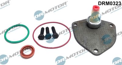 Repair Set, vacuum pump (braking system) Dr.Motor Automotive DRM0323