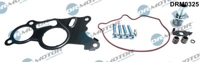 Repair Set, vacuum pump (braking system) Dr.Motor Automotive DRM0325