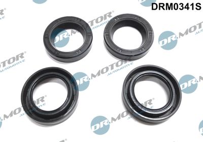 Seal, injector holder Dr.Motor Automotive DRM0341S