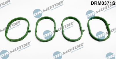 Gasket Set, intake manifold Dr.Motor Automotive DRM0371S