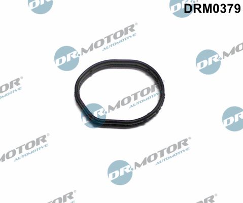 Dr.Motor Automotive DRM0379 Gasket, timing case cover