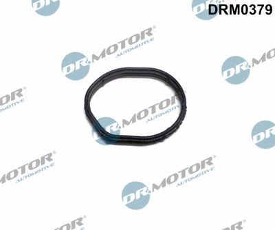 Gasket, timing case cover Dr.Motor Automotive DRM0379