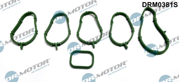 Dr.Motor Automotive DRM0381S Gasket Set, intake manifold