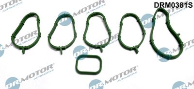 Gasket Set, intake manifold Dr.Motor Automotive DRM0381S