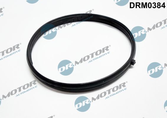 Dr.Motor Automotive DRM0384 Gasket, intake manifold