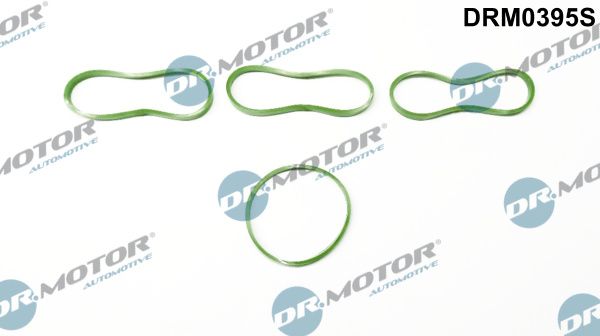 Dr.Motor Automotive DRM0395S Gasket Set, intake manifold