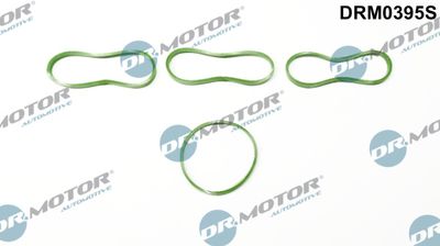 Gasket Set, intake manifold Dr.Motor Automotive DRM0395S