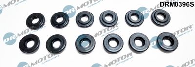 Seal Ring, cylinder head cover bolt Dr.Motor Automotive DRM0396S