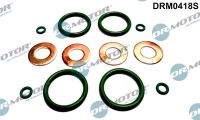 Seal Kit, injector nozzle Dr.Motor Automotive DRM0418S