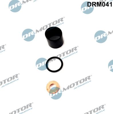 Seal Kit, injector nozzle Dr.Motor Automotive DRM041
