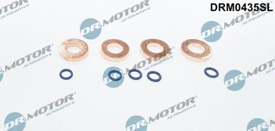 Seal Kit, injector nozzle Dr.Motor Automotive DRM0435SL