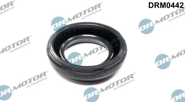 Dr.Motor Automotive DRM0442 Gasket, cylinder head cover