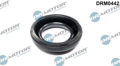 Gasket, cylinder head cover Dr.Motor Automotive DRM0442