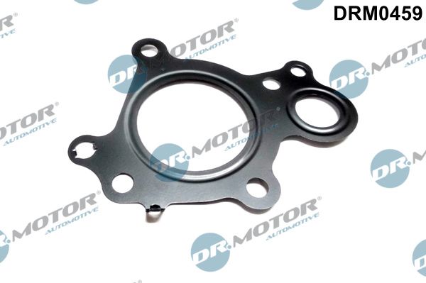 Dr.Motor Automotive DRM0459 Gasket, EGR valve