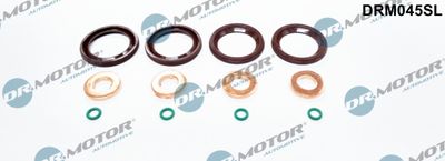 Seal Kit, injector nozzle Dr.Motor Automotive DRM045SL