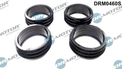 Gasket Set, intake manifold Dr.Motor Automotive DRM0460S