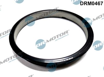 Seal, vacuum pump Dr.Motor Automotive DRM0467