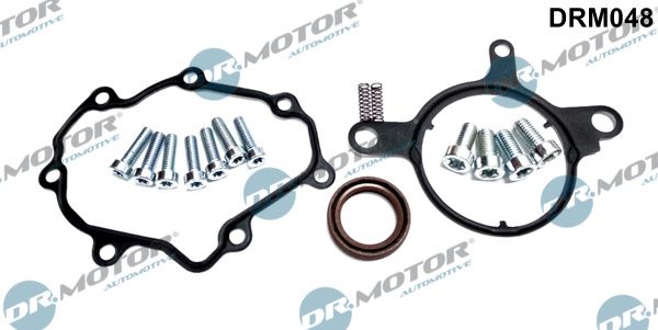 Dr.Motor Automotive DRM048 Repair Set, vacuum pump (braking system)