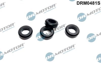 Seal Ring, nozzle holder Dr.Motor Automotive DRM0481S