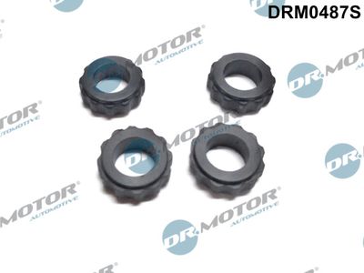 Seal Ring, nozzle holder Dr.Motor Automotive DRM0487S