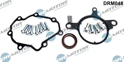 Repair Set, vacuum pump (braking system) Dr.Motor Automotive DRM048