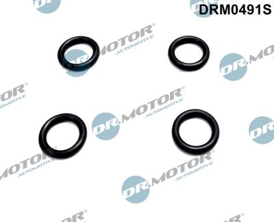 Seal Ring, nozzle holder Dr.Motor Automotive DRM0491S