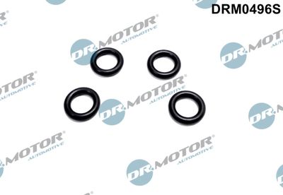 Seal Ring, nozzle holder Dr.Motor Automotive DRM0496S