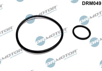 Seal Set, vacuum pump Dr.Motor Automotive DRM049