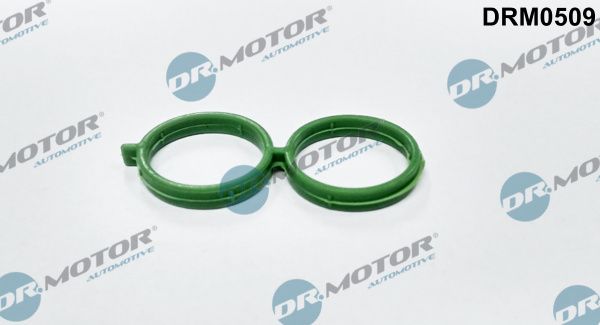 Dr.Motor Automotive DRM0509 Gasket, air supply idle control valve