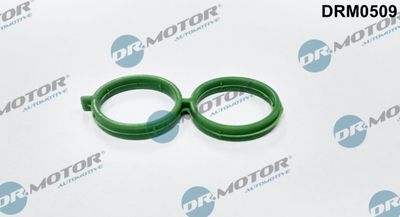 Gasket, air supply idle control valve Dr.Motor Automotive DRM0509