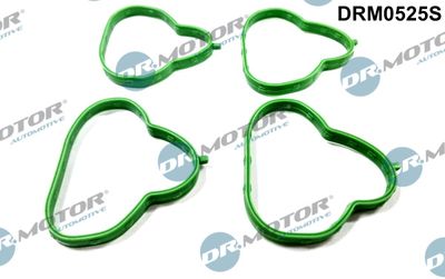 Gasket Set, intake manifold Dr.Motor Automotive DRM0525S