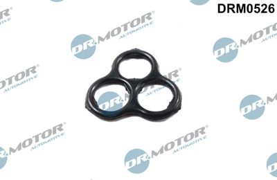Gasket, timing case Dr.Motor Automotive DRM0526