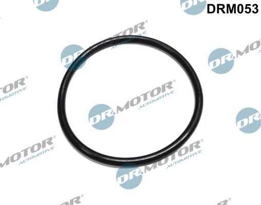 Dr.Motor Automotive DRM053 Seal, fuel filter