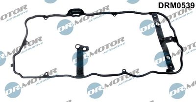 Gasket, cylinder head cover Dr.Motor Automotive DRM0539