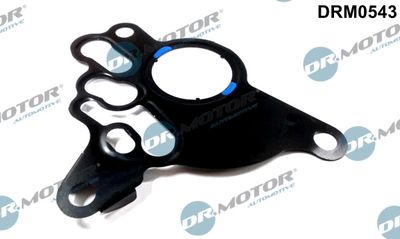 Gasket, vacuum pump Dr.Motor Automotive DRM0543