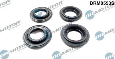 Seal, injector holder Dr.Motor Automotive DRM0553S