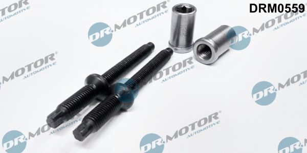 Dr.Motor Automotive DRM0559 Screw, injection nozzle holder