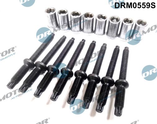 Dr.Motor Automotive DRM0559S Screw, injection nozzle holder