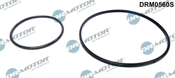 Dr.Motor Automotive DRM0560S Seal Set, vacuum pump