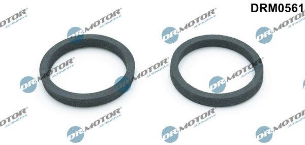Dr.Motor Automotive DRM0561 Gasket, oil cooler
