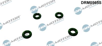 Seal Ring, nozzle holder Dr.Motor Automotive DRM0565S