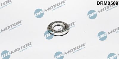 Seal Ring, injector Dr.Motor Automotive DRM0569