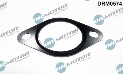 Gasket, EGR valve Dr.Motor Automotive DRM0574