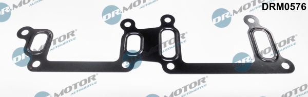 Dr.Motor Automotive DRM0576 Seal, coolant pipe